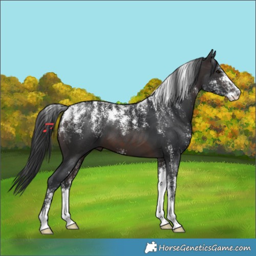 Horse Color:Powder White Brown 