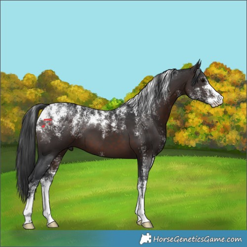 Horse Color:Powder White Brown 