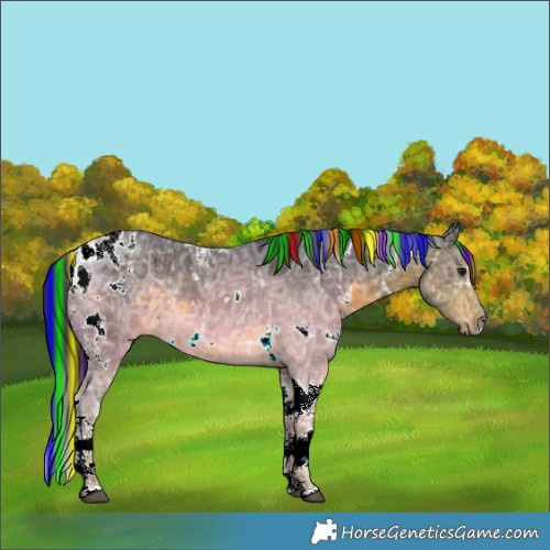 Horse Color:Painted White Spotted Buckskin Ice Tobiano Rabicano 