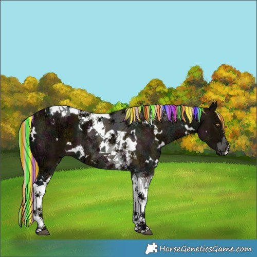Horse Color:Painted White Spotted Midnight Silver Buckskin Ice Dun Tobiano 
