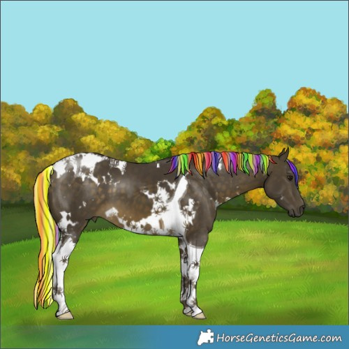 Horse Color:Painted White Spotted Silver Buckskin Tobiano 