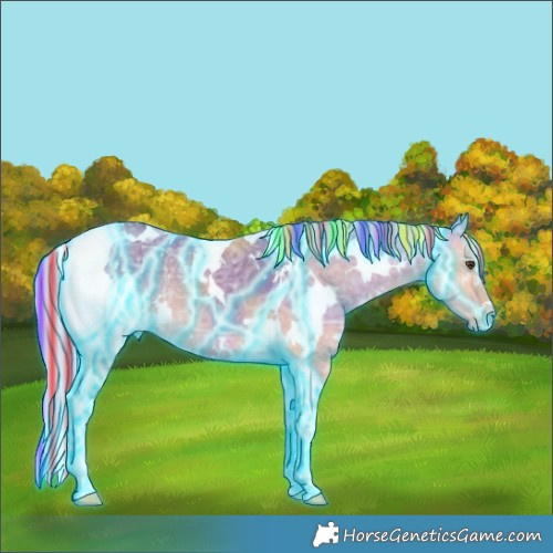 Horse Color:Painted Thunderstruck White Spotted Silver Buckskin Ice Dun Tobiano Rabicano 