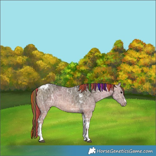 Horse Color:Painted White Spotted Buckskin Ice Dun Tobiano 