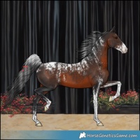 Horse Color:Powder White Brown Mushroom