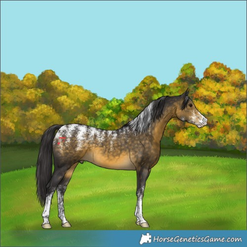 Horse Color:Powder White Buckskin Mushroom 