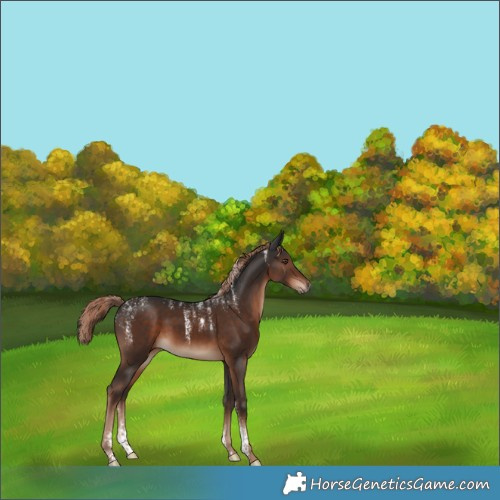 Horse Color:Powder White Liver Chestnut 