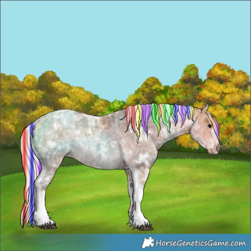 Horse Color:Painted White Spotted Chocolate Silver Buckskin Ice Tobiano Rabicano 