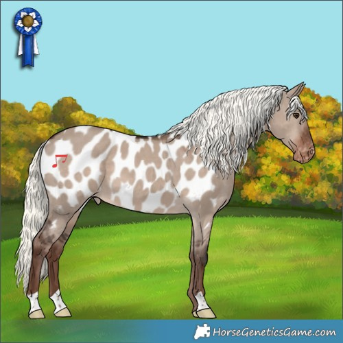 Horse Color:Liver Red Dun Mushroom Near Leopard 