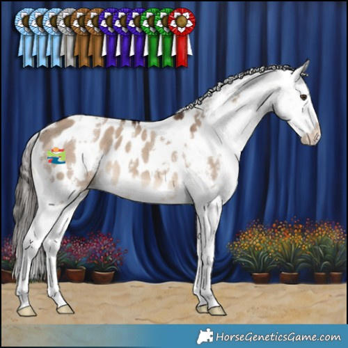 Horse Color:White Spotted Liver Red Dun Appaloosa 