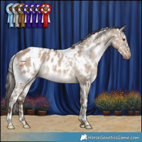 Horse Color:White Spotted Liver Red Dun Appaloosa 