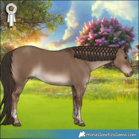 Horse Color:Liver Red Dun Tobiano Rabicano 