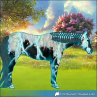 Horse Color:Void Thunderstruck White Spotted Buckskin Ice 