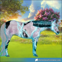 Horse Color:Void Thunderstruck Watercolor Liver Chestnut Ice Pearl Sabino Tobiano