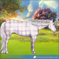 Horse Color:Void Plaid  White Spotted Silver Perlino Ice 