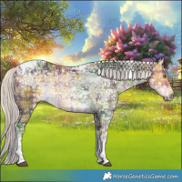 Horse Color:Plaid  Silver Buckskin Ice Tobiano 
