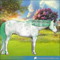 Horse Color:Watercolor Bay Ice Onyx Splash Tobiano Frame 
