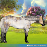 Horse Color:Void Plaid  White Spotted Silver Buckskin Ice Splash 