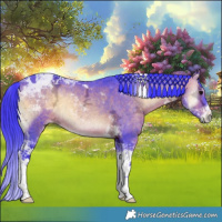 Horse Color:Watercolor Brown Ice Onyx Tobiano 