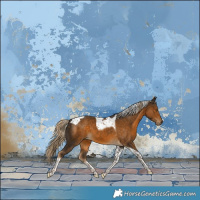 Horse Color:Chocolate Palomino Tobiano 