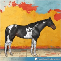 Horse Color:Liver Chestnut Tobiano Rabicano