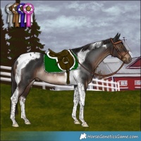 Horse Color:Liver Chestnut Tobiano Rabicano 