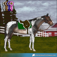 Horse Color:Liver Chestnut Tobiano Rabicano 