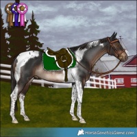 Horse Color:Liver Chestnut Tobiano Rabicano