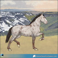 Horse Color:Classic Champagne Dun Mushroom Sabino Brindle