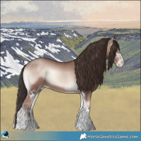 Horse Color:Classic Champagne Onyx Mushroom Sabino 