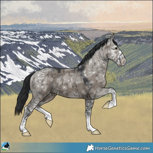 Horse Color:Grullo Ice Sabino Brindle 