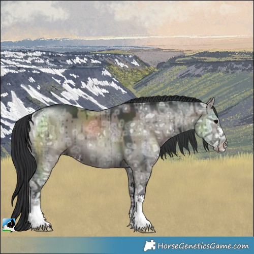 Horse Color:Grullo Ice Sabino Brindle