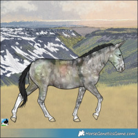 Horse Color:Grullo Ice Sabino Brindle 