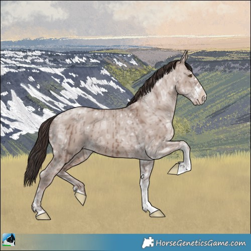 Horse Color:Classic Champagne Ice Dun Mushroom Sabino Brindle 