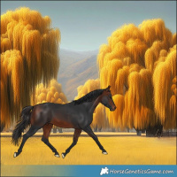 Horse Color:Bay Rabicano