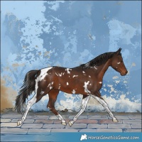 Horse Color:White Spotted Liver Chestnut Tobiano 