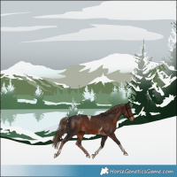 Horse Color:Liver Chestnut Tobiano 