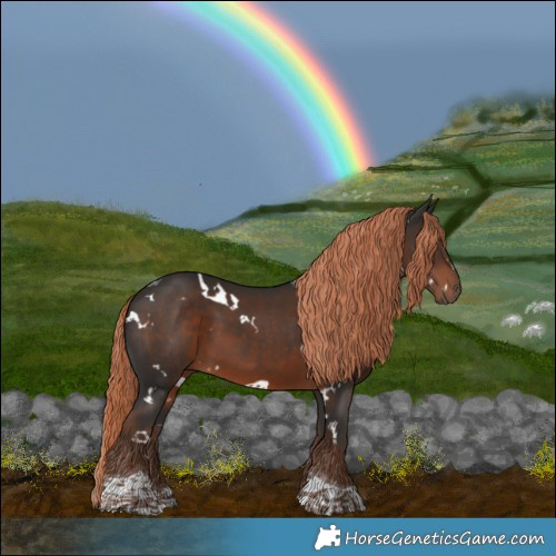 Horse Color:White Spotted Liver Chestnut Tobiano 