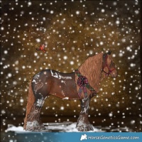 Horse Color:White Spotted Liver Chestnut Tobiano