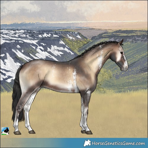 Horse Color:Brown Onyx Sabino
