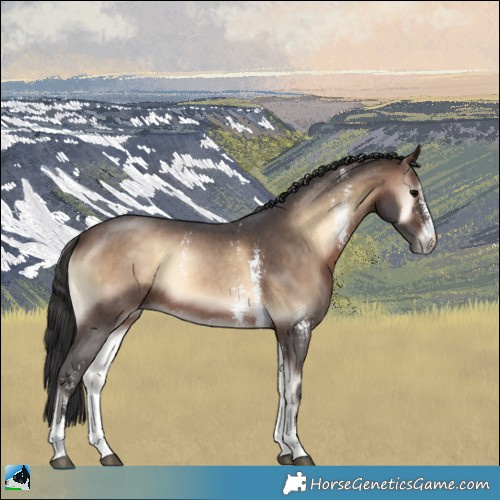Horse Color:Brown Onyx Sabino