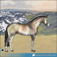 Horse Color:Brown Onyx Sabino 