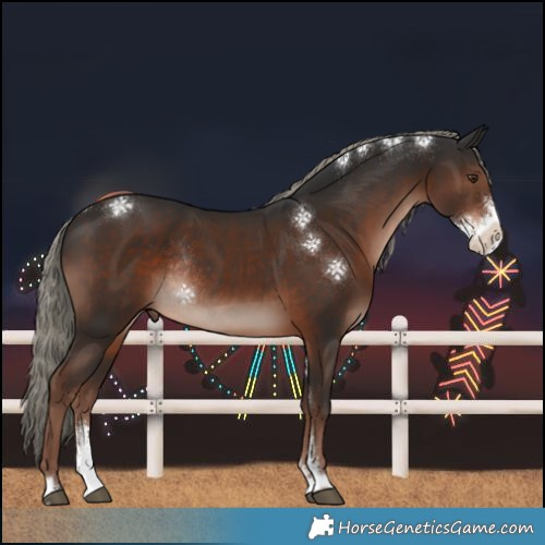 Horse Color:Liver Chestnut Mushroom Sabino Rabicano 