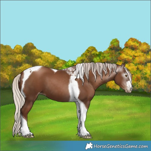 Horse Color:Gray Silver Black Pearl Tobiano 