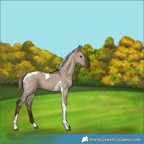 Horse Color:Liver Red Dun Mushroom Tobiano 