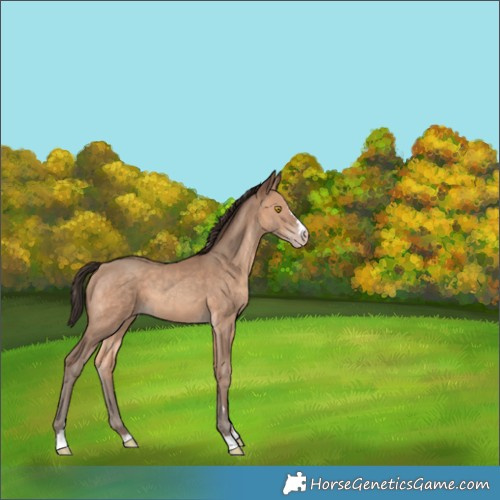 Horse Color:Sable Champagne 