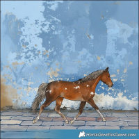 Horse Color:White Spotted Chocolate Palomino Tobiano 