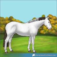 Horse Color:Bay Tobiano Near Fewspot 