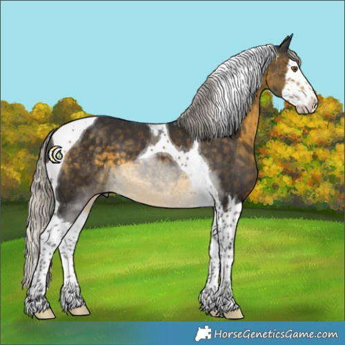 Horse Color:White Spotted Silver Buckskin Splash Tobiano 