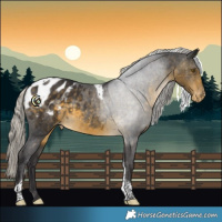 Horse Color:White Spotted Silver Buckskin Tobiano Blanket 