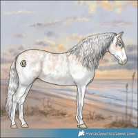 Horse Color:Silver Smoky Creme Sabino 